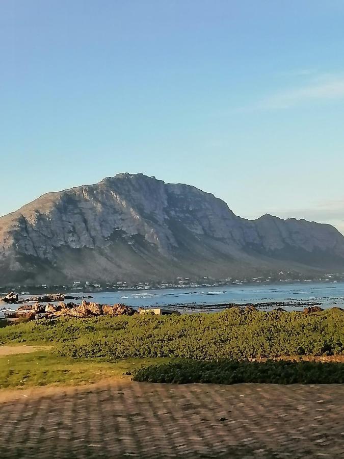Appartamento Just Chill Betty'S Bay Esterno foto